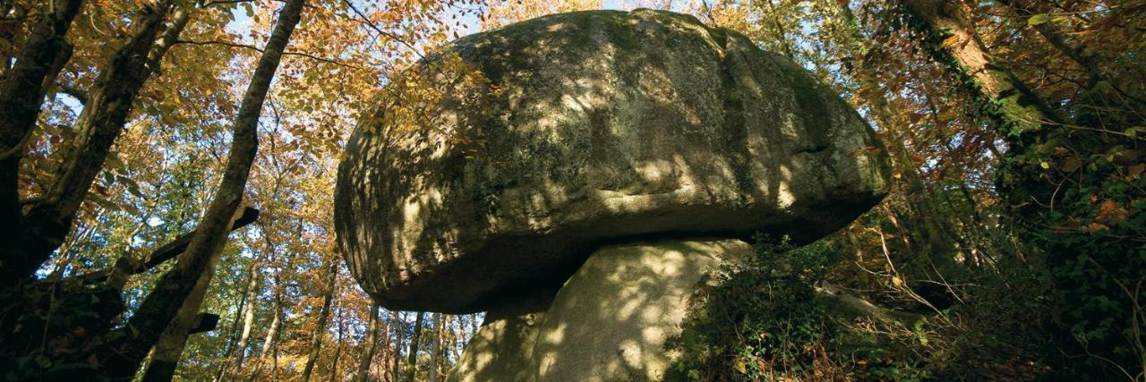 Chambre D'Hotes De La Roche Tremblante Юэльгоа Экстерьер фото